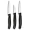Swiss Army Brands 2024 6.7600.3Us1 48042 Vic-6.7113.3-X3 Kitchen Swiss Classic Sets 3-Piece Paring Set Black Packaged VIC-6.7503-X3 - alternate 2